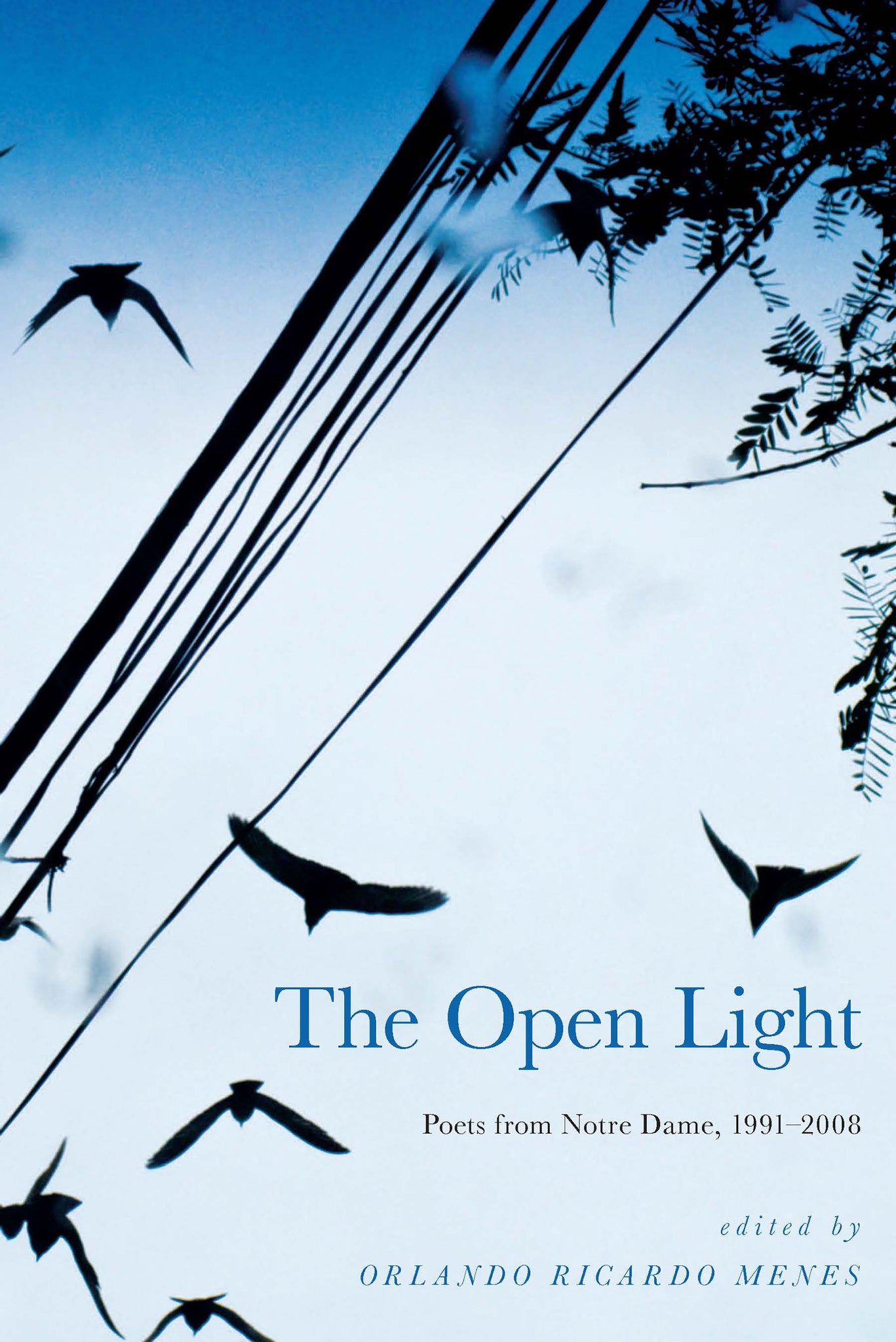 Cover image for The Open Light ISBN 9780268207045